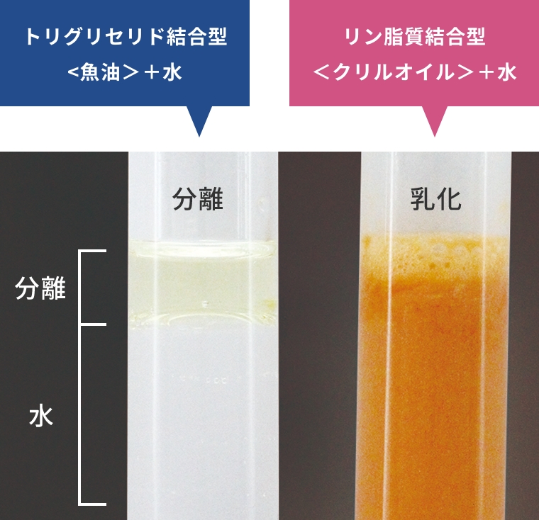 信頼できる高品質のルテイン、ゼアキサンチンのみ使用